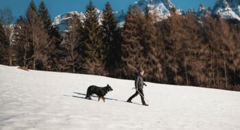 where to take your dog in Whistler Canada