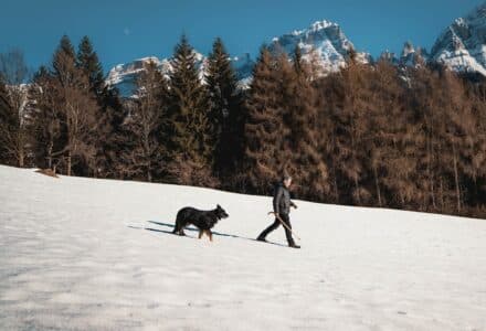 where to take your dog in Whistler Canada
