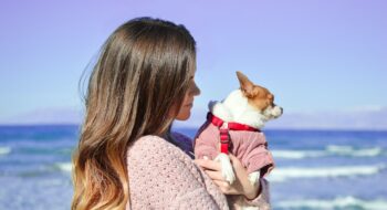 where to take your dog in greece