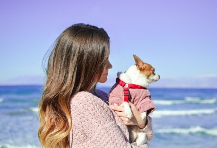 where to take your dog in greece