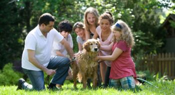 cheap activities you can do with your pet as a whole family