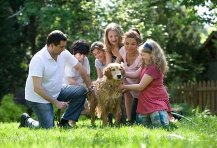 cheap activities you can do with your pet as a whole family