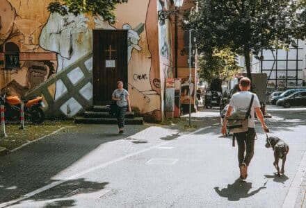 dog friendly europe