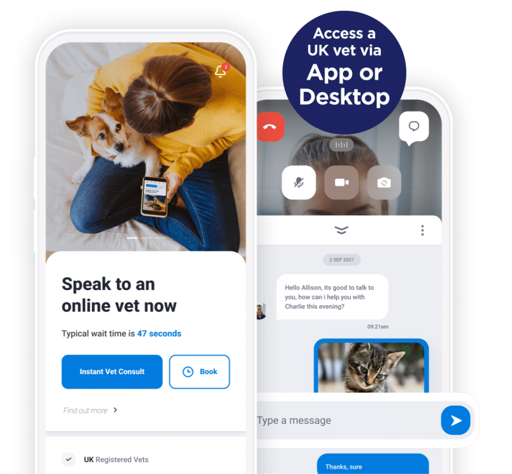 Complete Care Upgrade | 24/7 Unlimited Vet Access | Video, Phone or Chat!