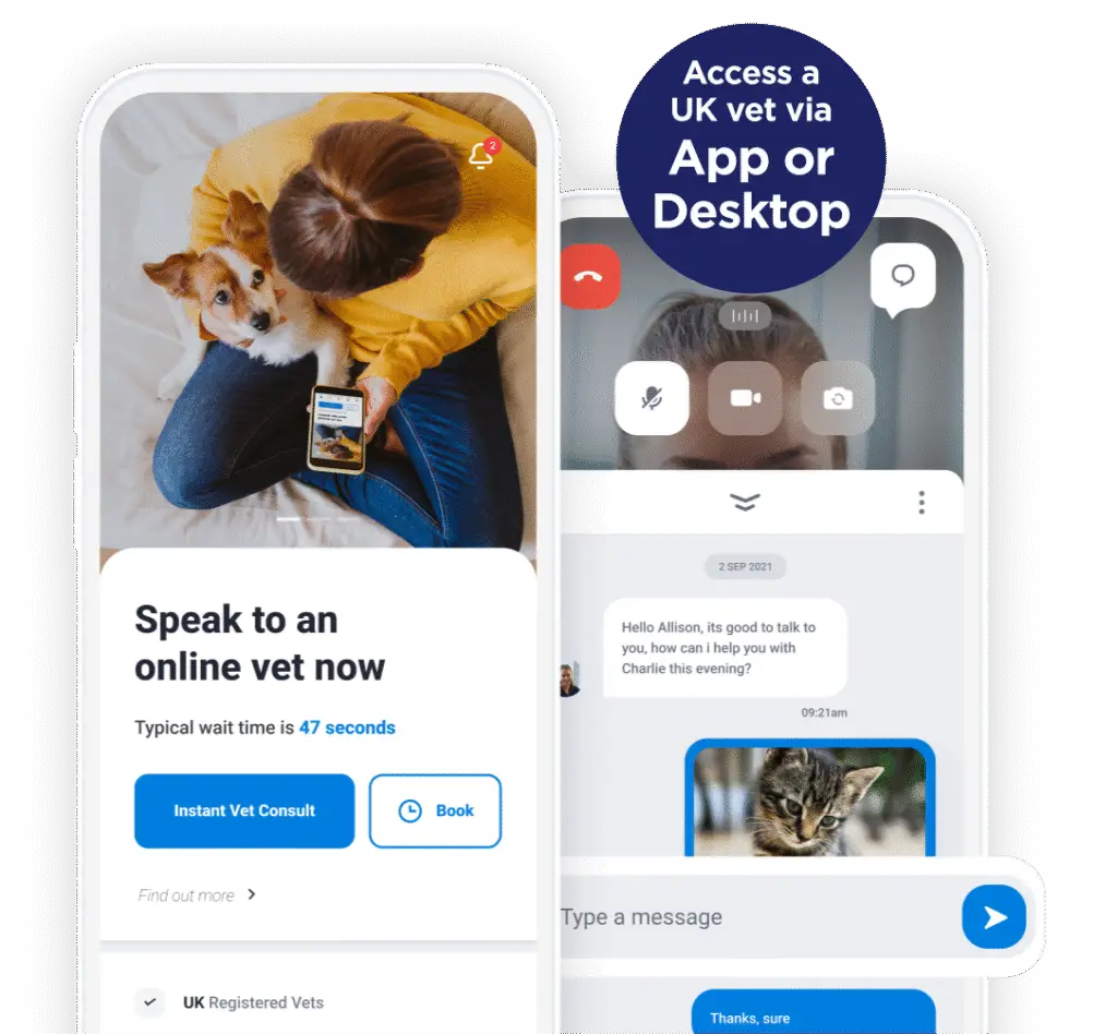 Complete care - unlimited online vet access | PetAir UK