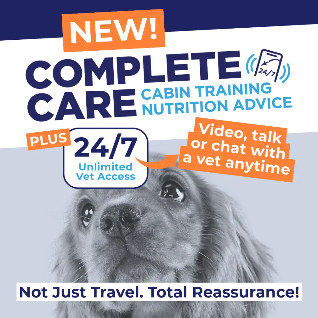 Not just travel, total reassurance... choose complete care, vet-led pre-flight support | PetAirUK