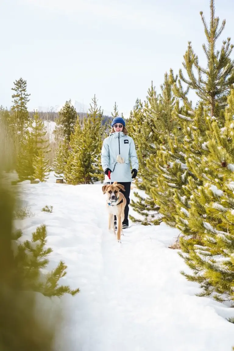Where to take your dog in Aspen, Colorado | PetAir UK