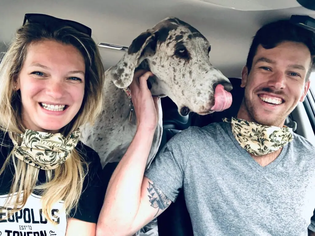 Harley flew to Canada during coronavirus lockdown. April 2020 | PetAir UK
