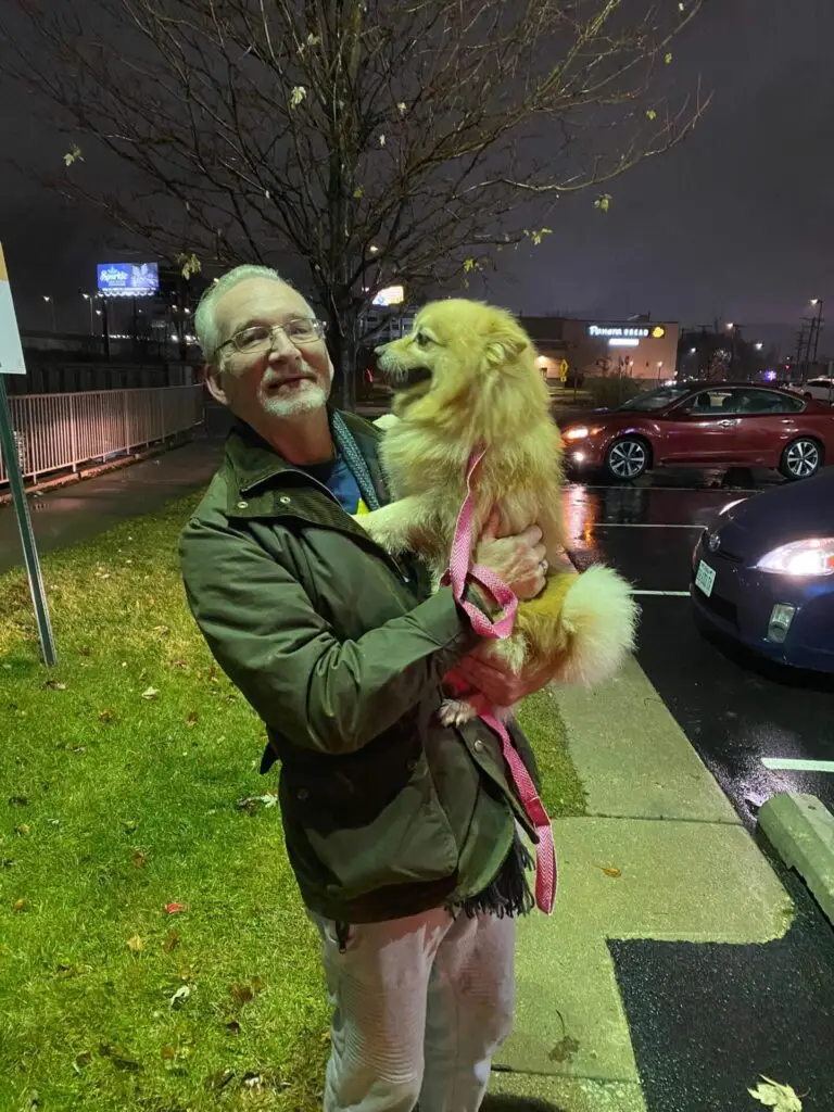 Happy Pup Arrives In Chicago | PetAir UK
