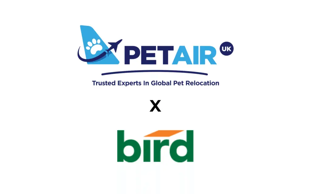 PetAir x Bird Construction