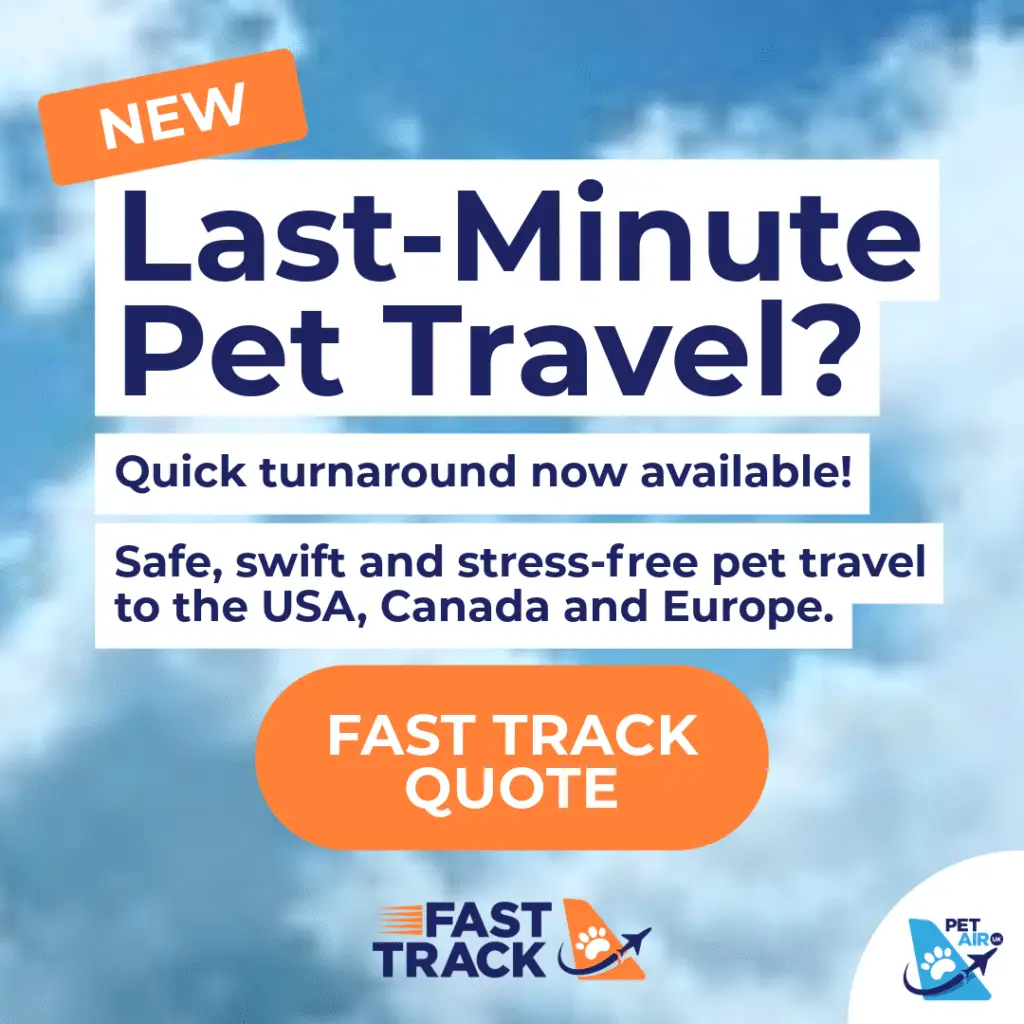 Last minute pet travel? | Fast Track Pet Travel | PetAirUk