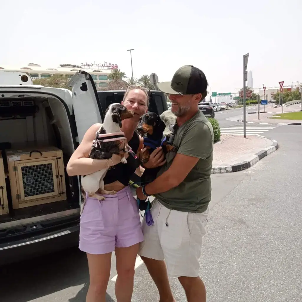 Pet travel for dogs | PetAir UK