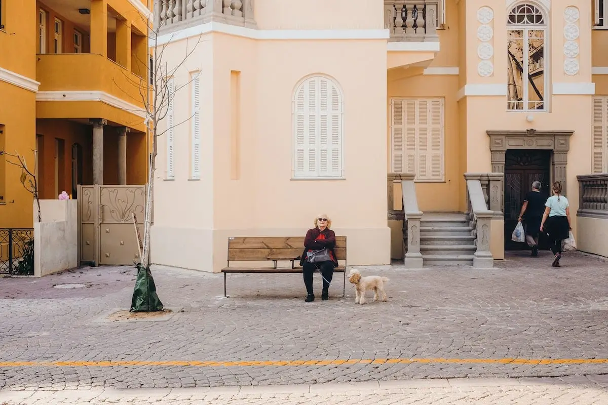 Where to take your dog in Tel Aviv | PetAir UK