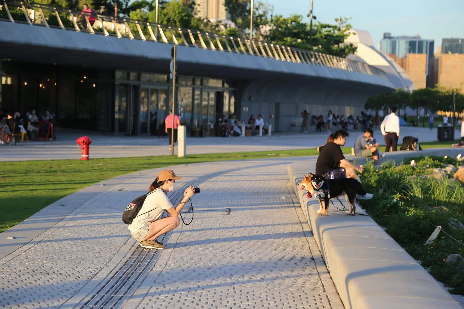 Where to take your dog in Hong Kong | PetAir UK