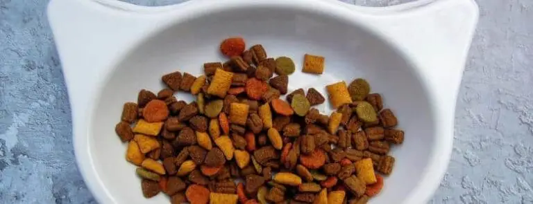 How to recycle your pet food products | PetAir UK