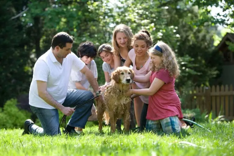 Cheap activities you can do with your pet as a whole family | PetAir UK