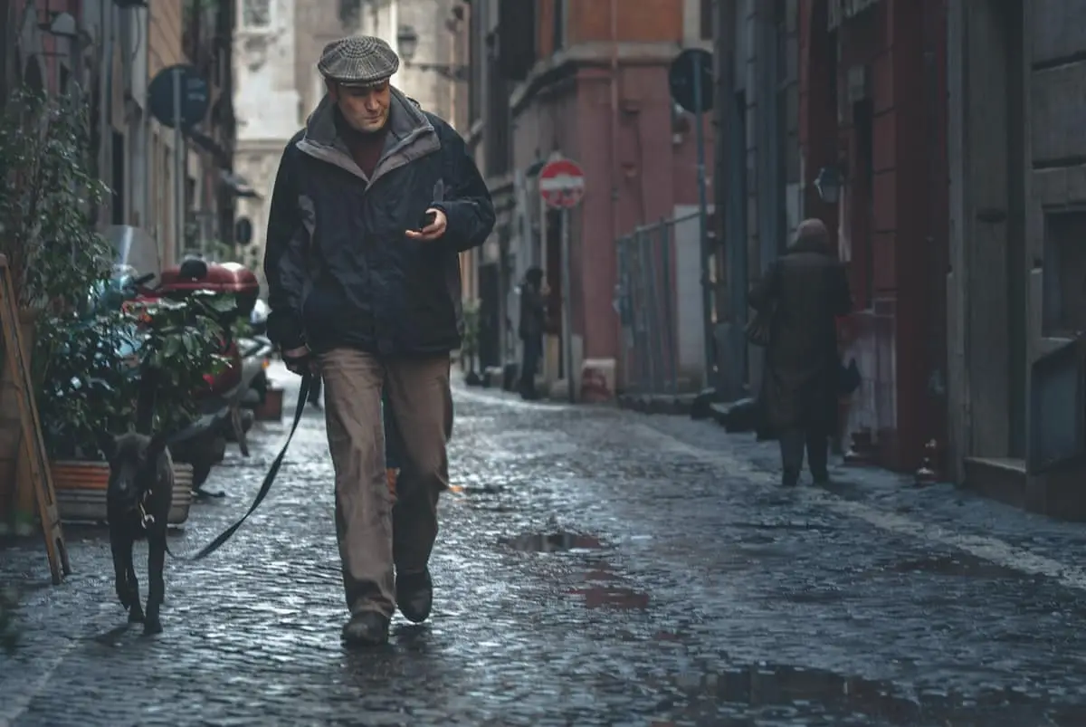 Where to take your dog in Rome, Italy | PetAir UK