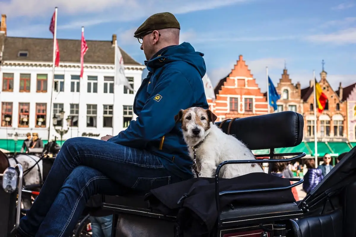 Where to take your dog in Bruges | PetAir UK