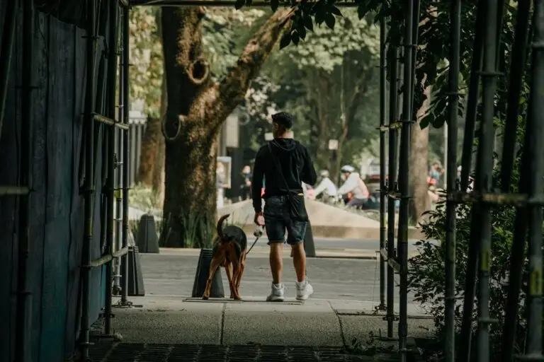 Where to take your dog in Mexico City | PetAir UK