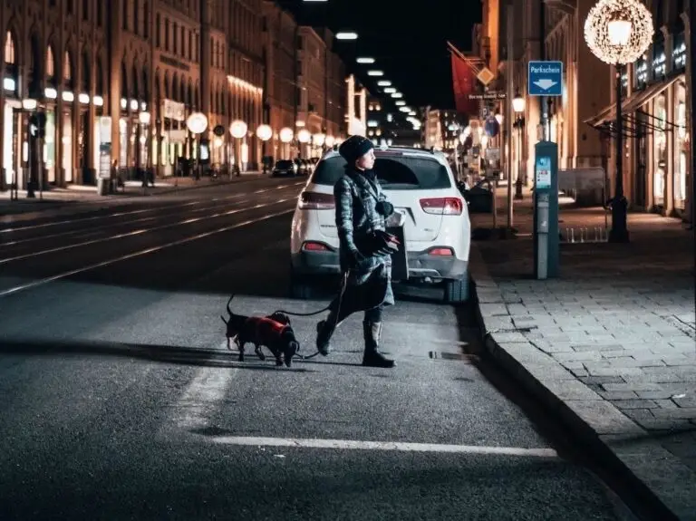 Where to take your dog in Munich | PetAir UK