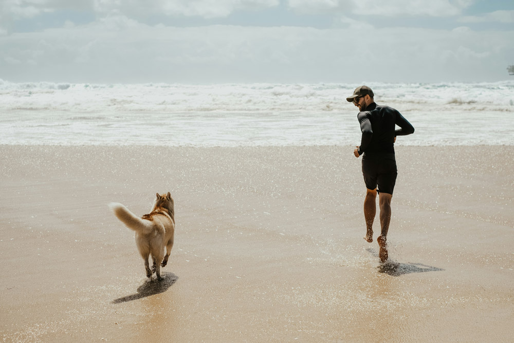 Dog ownership guide to Australia | PetAir UK