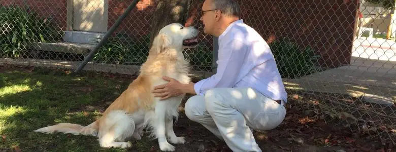 Barney The Dog's Convoluted Travel to Australia | PetAir UK