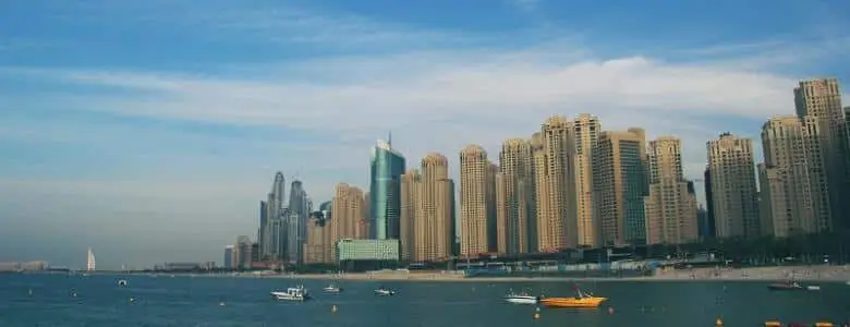 Places To Take Your Dog In Dubai | PetAir UK