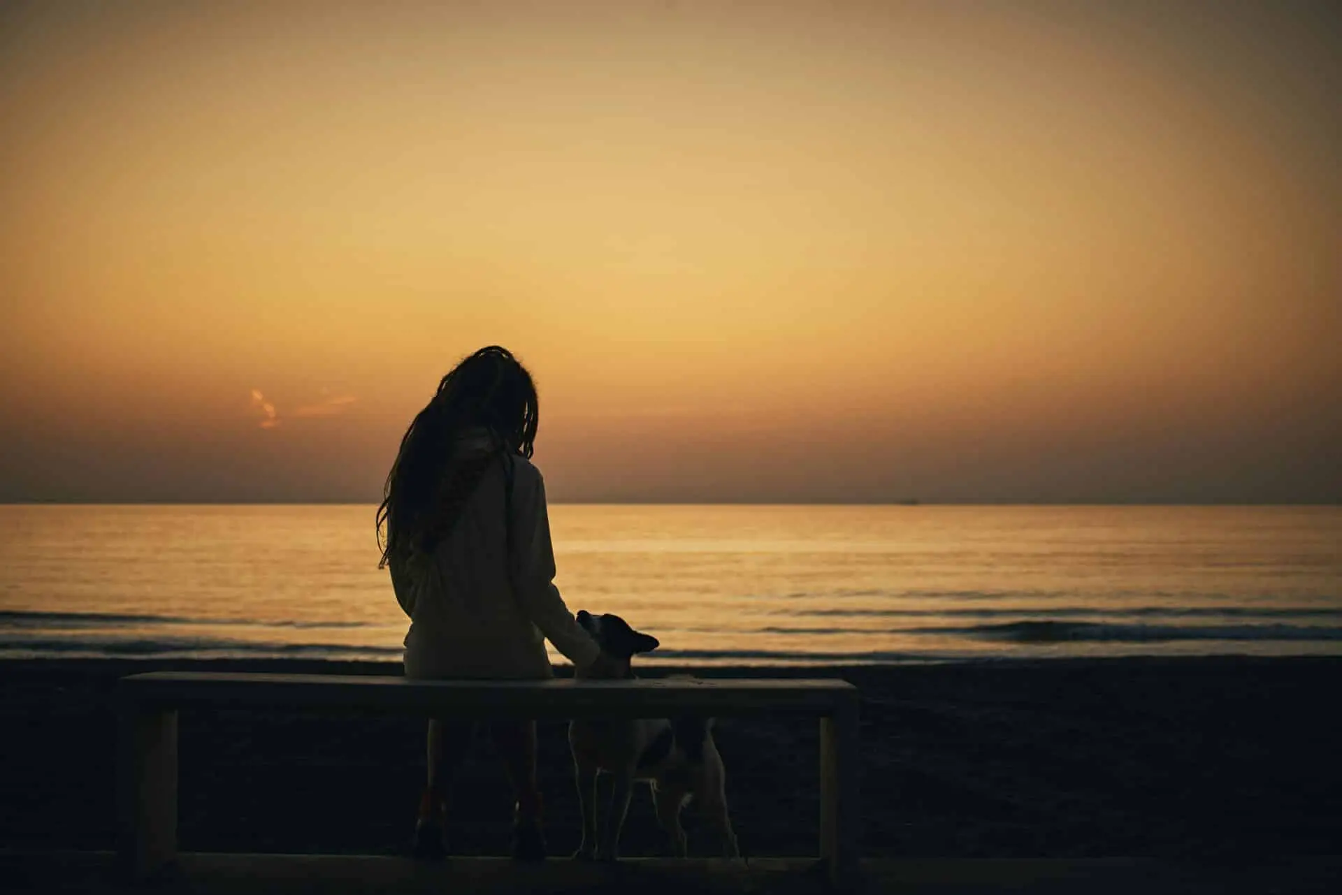 Things to do with your dog in Hong Kong | PetAir UK