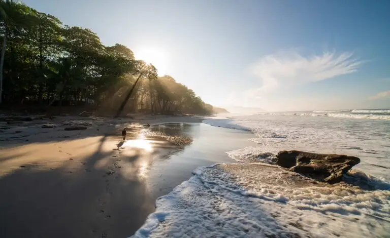 Where to take your dog in Costa Rica | PetAir UK
