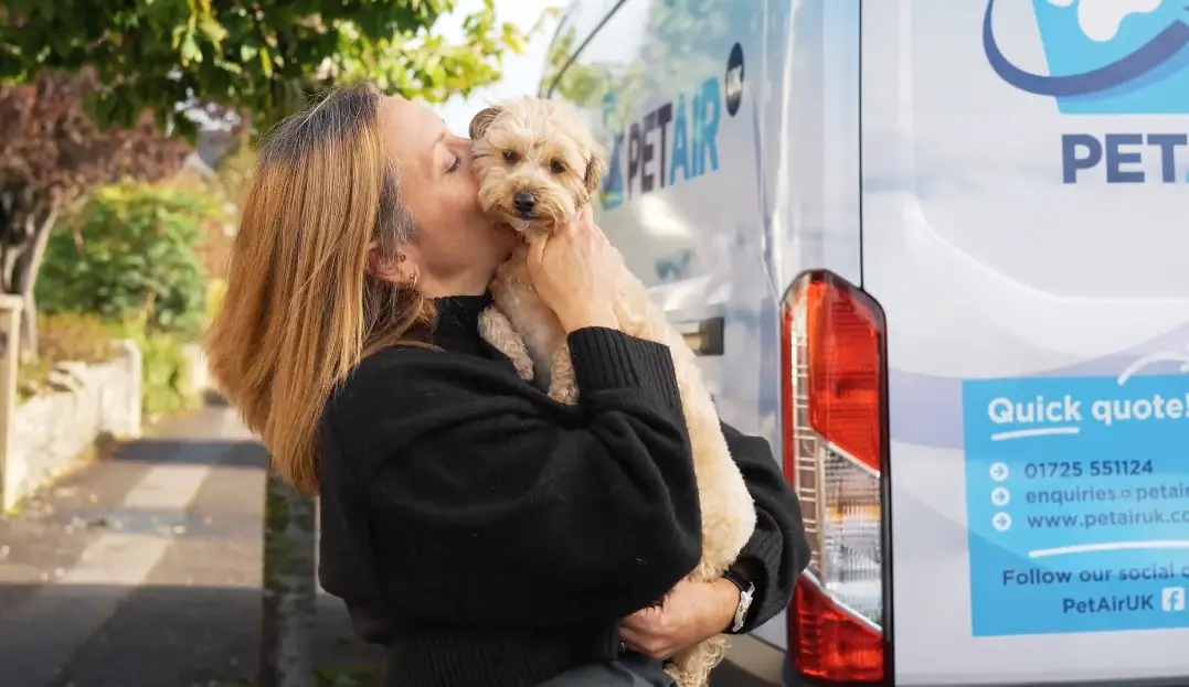 Personalised Pet Travel | PetairUK