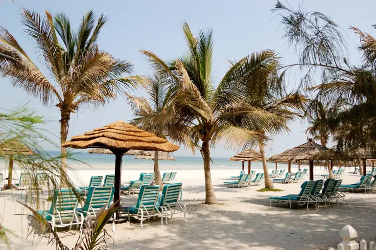 Taking pets to Ajman | PetAir UK