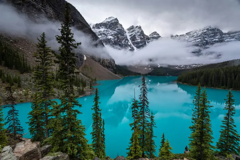 Taking pets to Alberta | PetAir UK