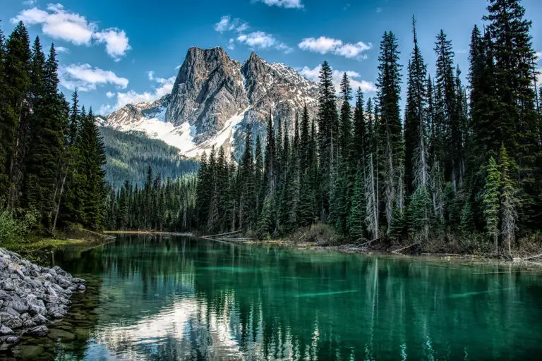 Taking pets to British Columbia | PetAir UK