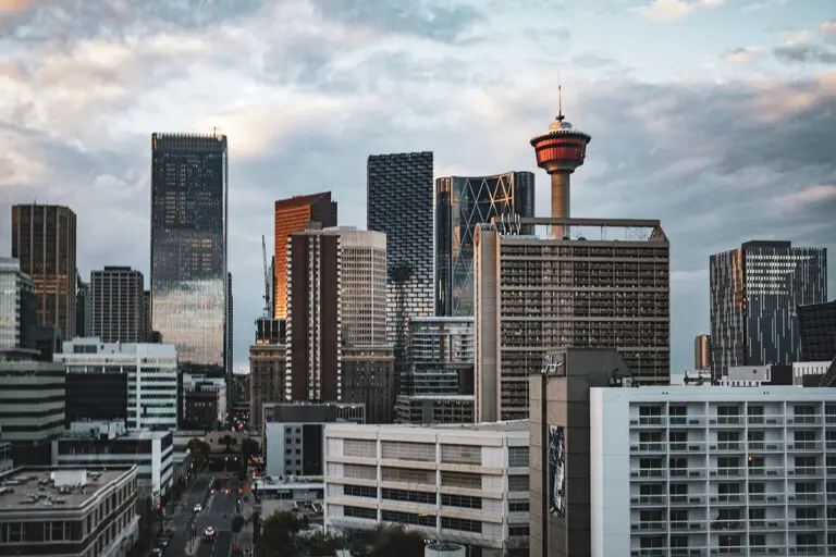 Taking pets to Calgary | PetAir UK