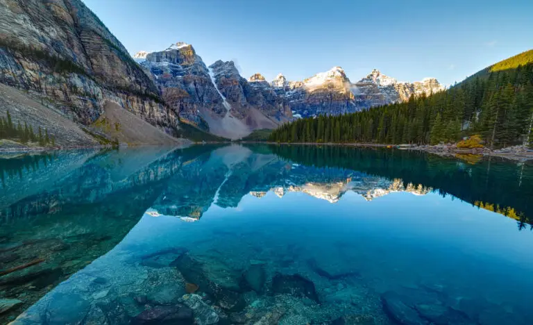 Taking pets to Canada | PetAir UK