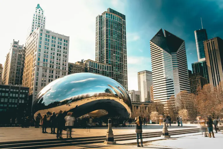 Taking pets to Chicago | PetAir UK