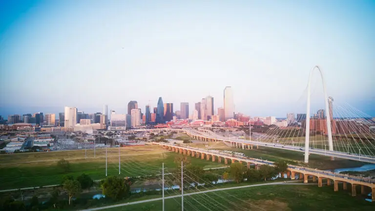 Taking pets to Dallas | PetAir UK