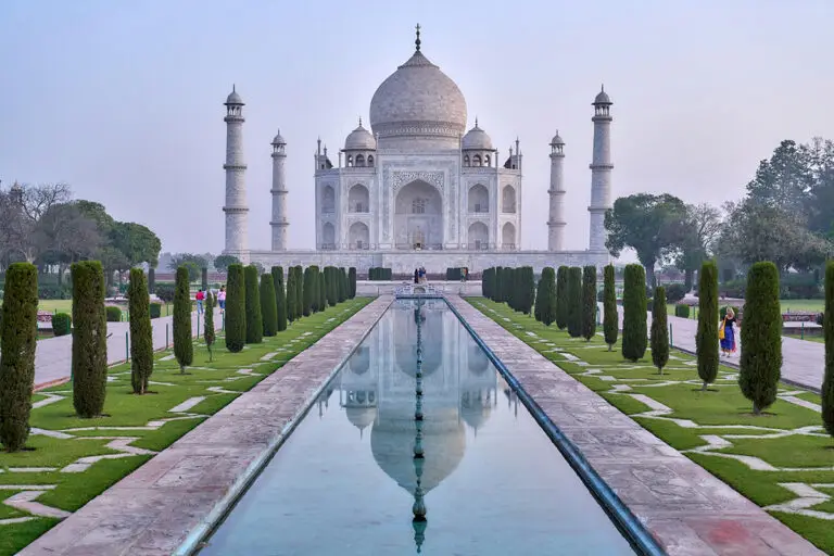 Taking pets to India | PetAir UK