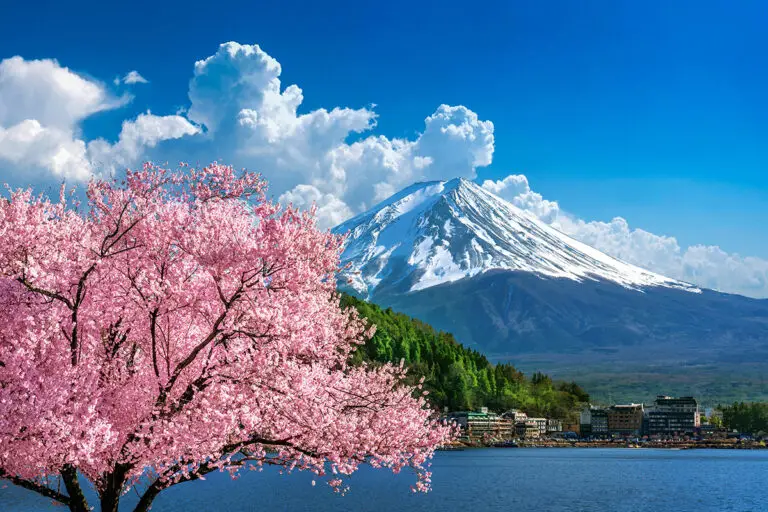 Taking pets to Japan | PetAir UK