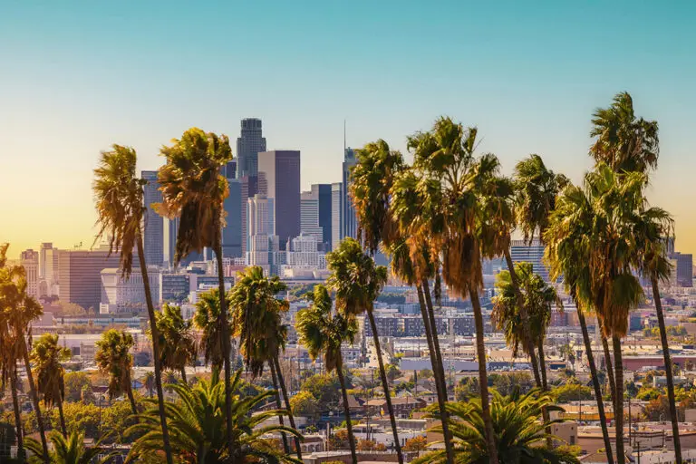 Taking pets to Los Angeles | PetAir UK