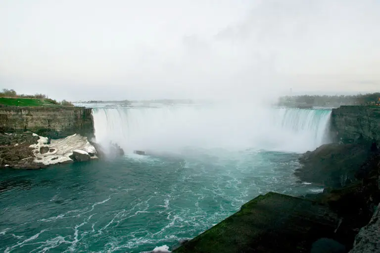 Taking pets to Ontario | PetAir UK