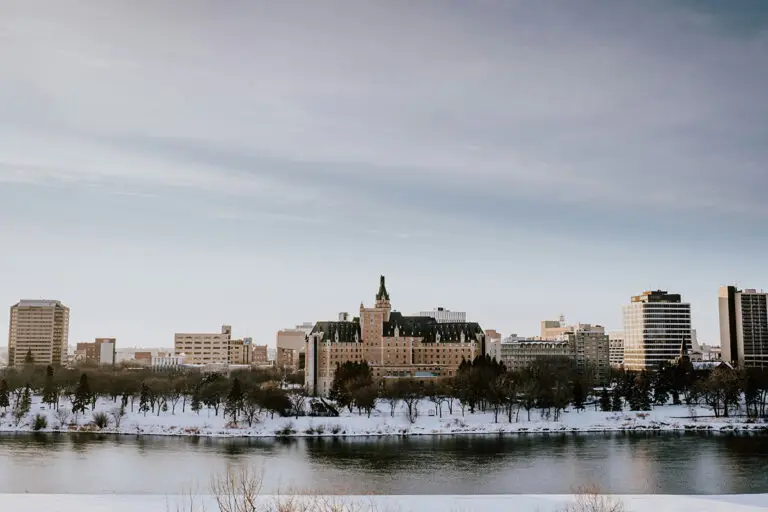 Taking pets to Saskatoon | PetAir UK