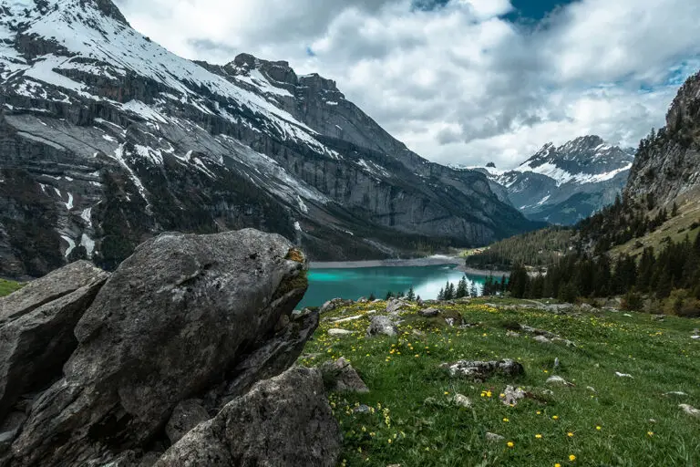 Taking pets to Switzerland | PetAir UK