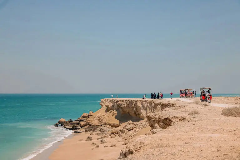 Taking pets to Umm Al Quwain | PetAir UK