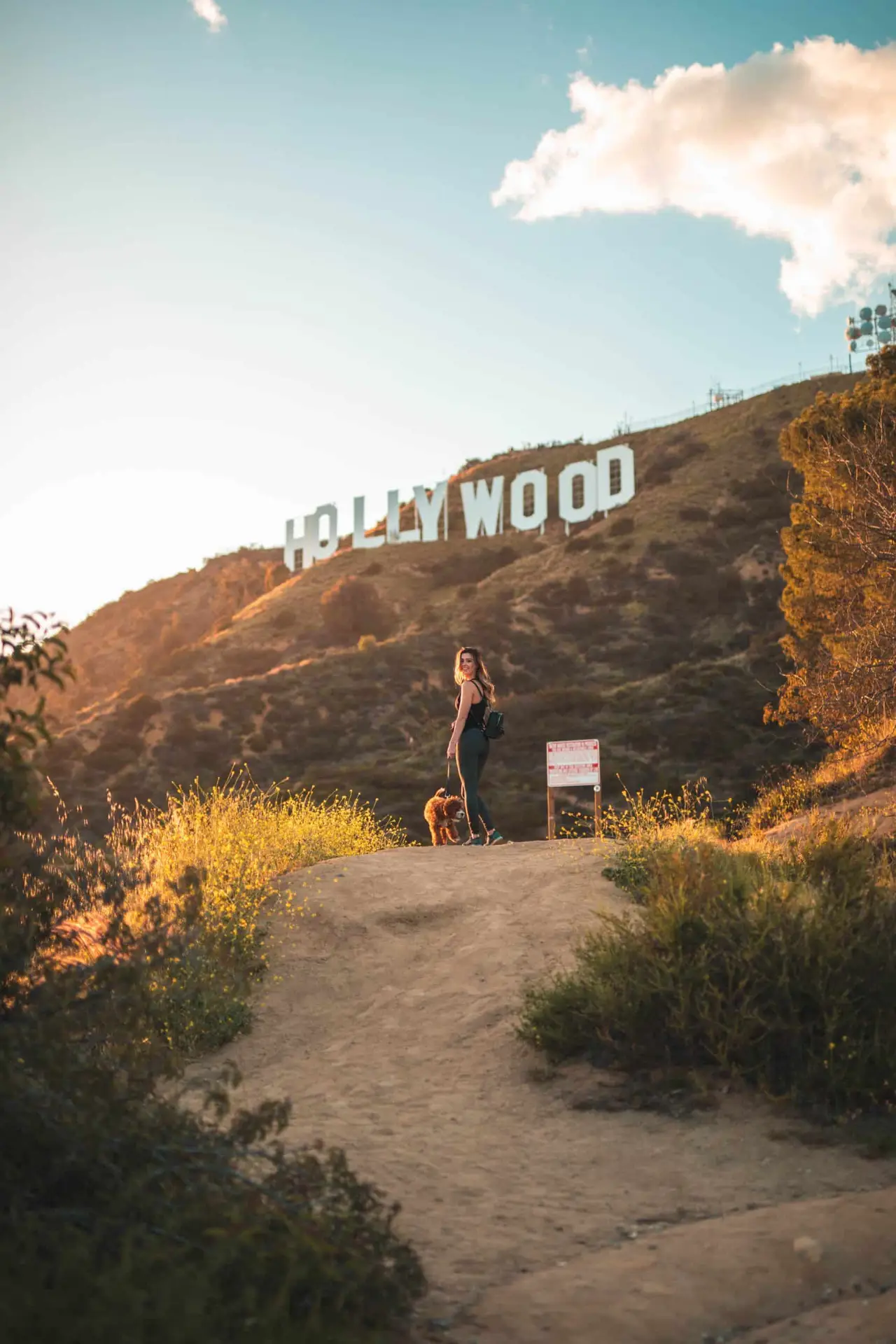 Where to take your dog in Los Angeles | PetAir UK