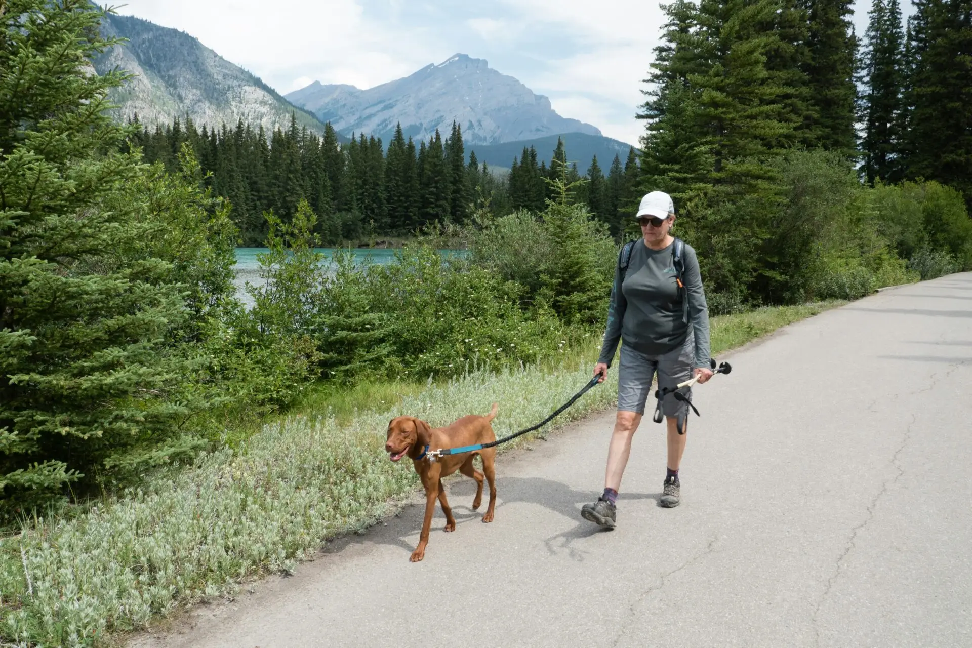 Best dog-friendly hiking trails to explore in Banff, Canada | PetAir UK