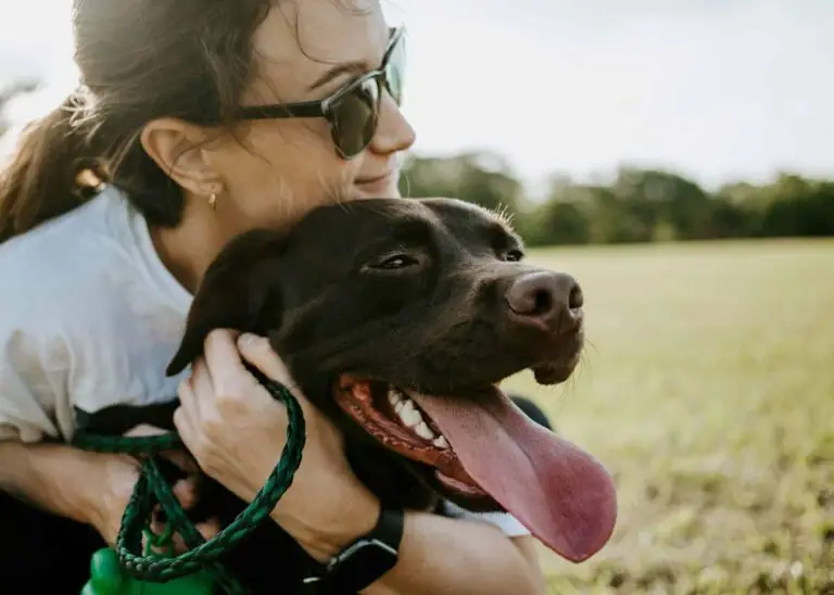Things to do with your dog in Delhi | PetAir UK
