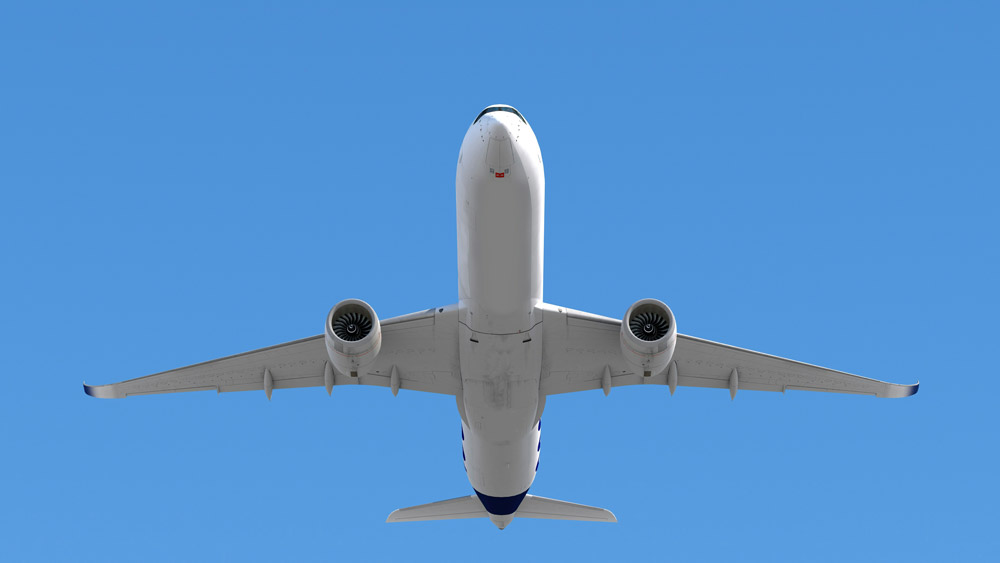 Why you should regularly worm your dog | PetAir UK