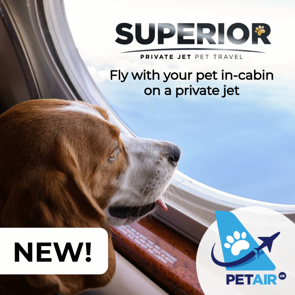 Private Jet Pet Travel | PetAir UK | In-Cabin Pet Travel