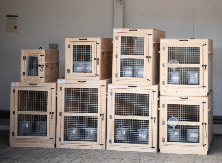 Approved pet travel crates built in Dorset | PetAir UK